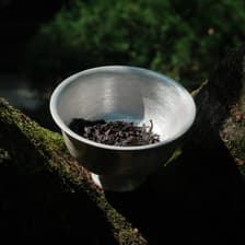 Profile picture for Jingyu