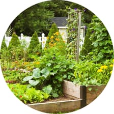 Profile picture for Jackie