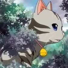 Profile picture for Big Cat