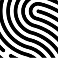 Profile picture for Les Jeunes Choisis