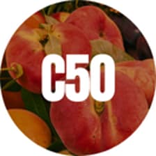 Profile picture for C50