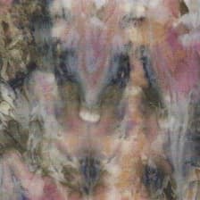 Profile picture for Wendy Qi