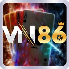 Profile picture for VN86