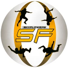 Profile picture for SkyFlowers Team