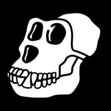 Profile picture for BAYC