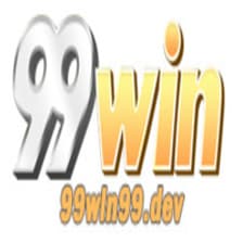 Profile picture for 99Win99 dev