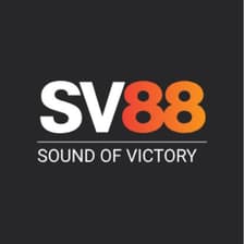 Profile picture for SV88