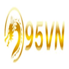 Profile picture for 95Vn it com