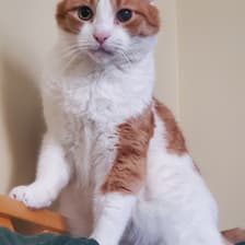 Profile picture for Aleks 