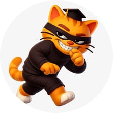 Profile picture for Coincat Global