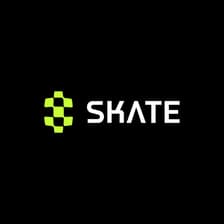 Profile picture for skate chain