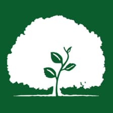 Profile picture for Morgan Field