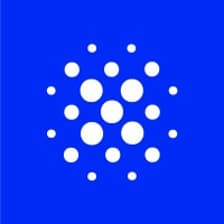 Profile picture for Kaii Lab