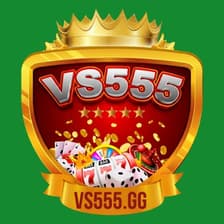 Profile picture for VS555 Games