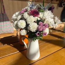 Profile picture for Elaine Peng