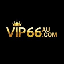 Profile picture for VIP66