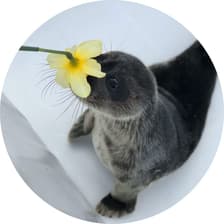 Profile picture for Sara Pawlikowska