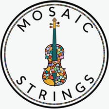 Profile picture for Mosaic Strings