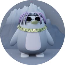 Profile picture for peri