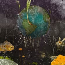 Profile picture for TED Countdown