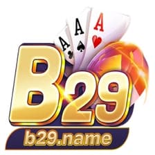 Profile picture for b29