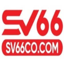 Profile picture for sv66co com