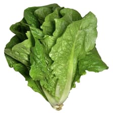 Profile picture for Yera