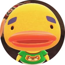 Profile picture for Jian Qi