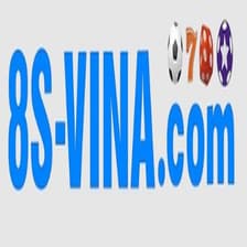 Profile picture for 8S VINA