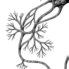 Profile picture for Glo from Sanscourier