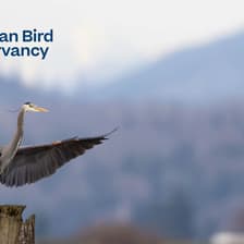 Profile picture for msager12