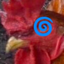 Profile picture for Andrew Miller (Teleport, Flashbots[X])