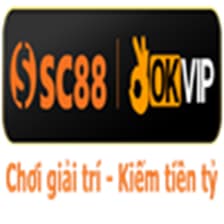 Profile picture for Stout Stout