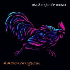 Profile picture for ĐÁ GÀ TRỰC TIẾP THOMO CAMPUCHIA Full HD HÔM NAY