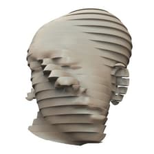 Profile picture for Joel Simon