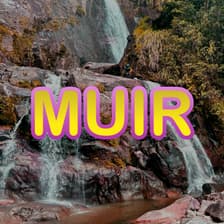 Profile picture for MUIR