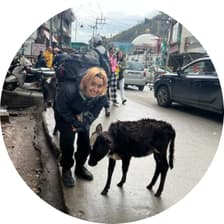 Profile picture for Michelle Burger