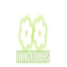 Profile picture for livingflowers