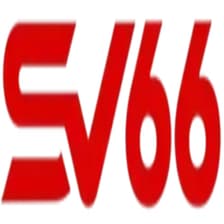 Profile picture for SV66 Site