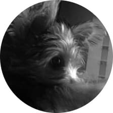 Profile picture for Ck Apex