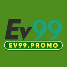 Profile picture for EV99
