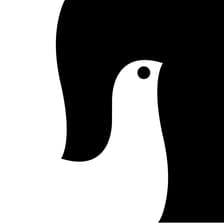 Profile picture for Nest