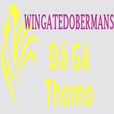 Profile picture for Đá Gà Trực Tiếp Thomo
