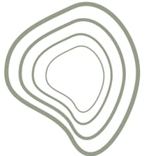 Profile picture for Casa Nektli