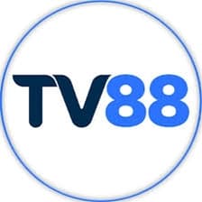 Profile picture for TV88
