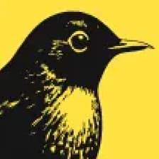 Profile picture for bïrch events