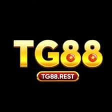 Profile picture for Tg88