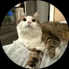 Profile picture for Hannah Suh