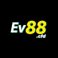 Profile picture for ev88