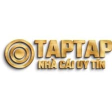 Profile picture for taptapvn net net